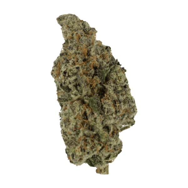 Biscotti Sundae | Budmail Canada
