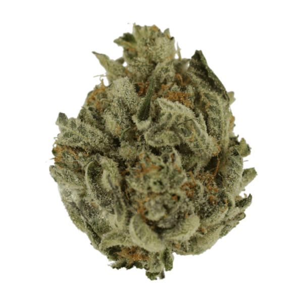 Biscotti Sundae | Budmail Canada