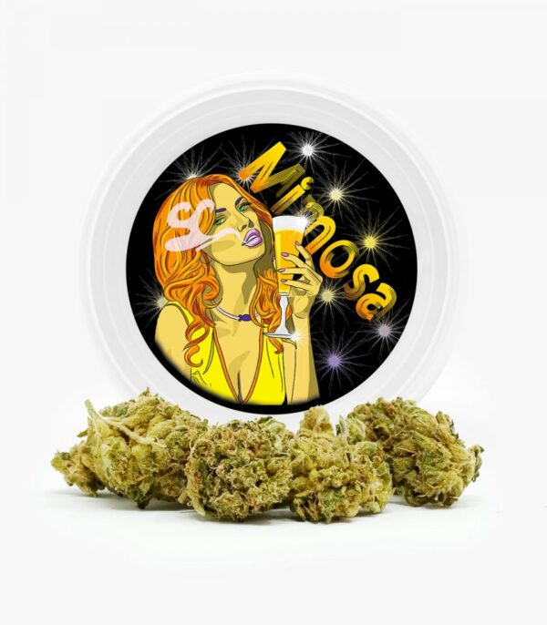 Westcoast Cali Tins – Premium Flower – Mimosa – 3.5g | Budmail Canada