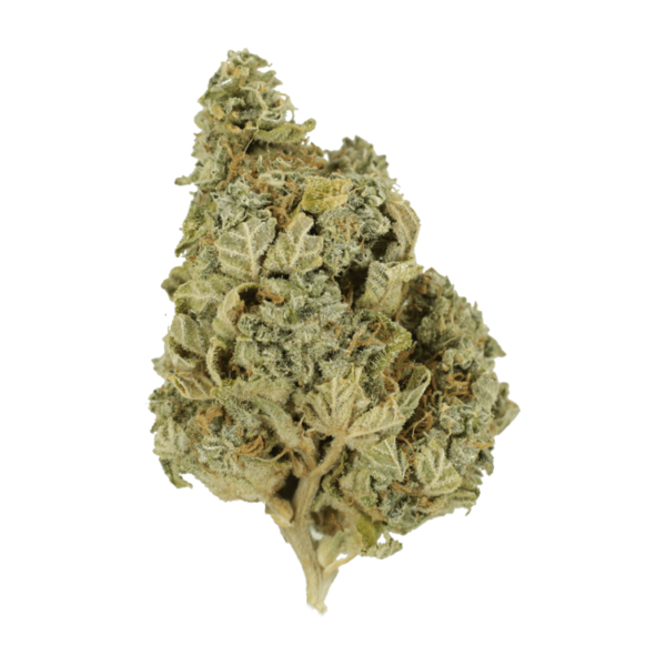 Khalifa Kush | Budmail Canada