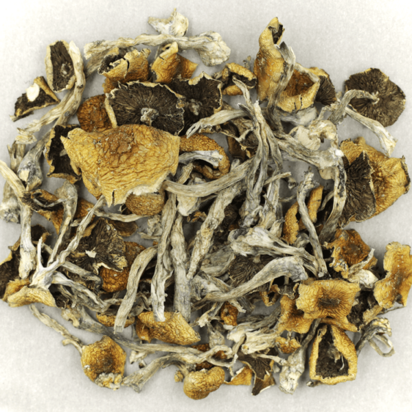 Florida White | Budmail Canada