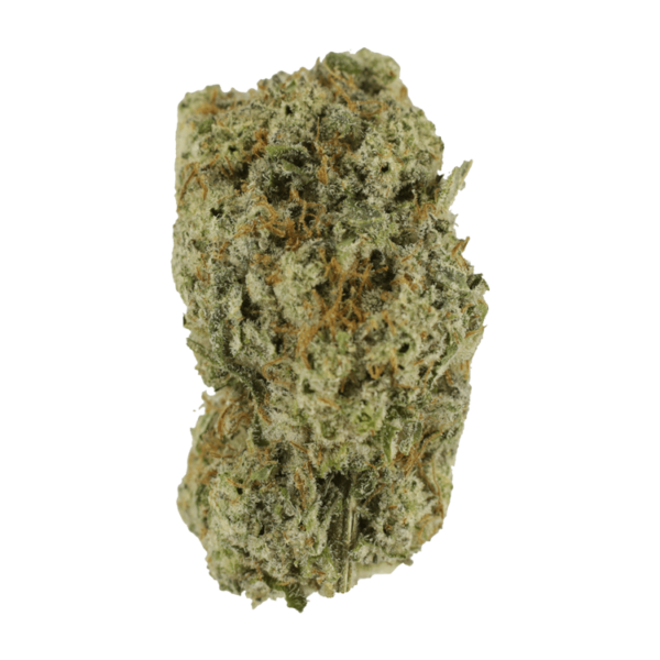 Eleven Roses | Budmail Canada