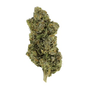 Jokerz | Budmail Canada