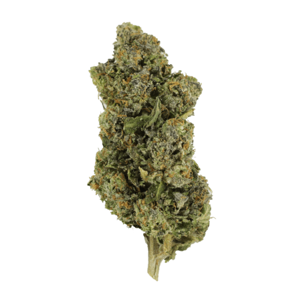 Jokerz | Budmail Canada