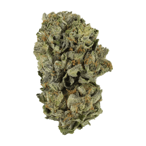 Cerebro Haze | Budmail Canada