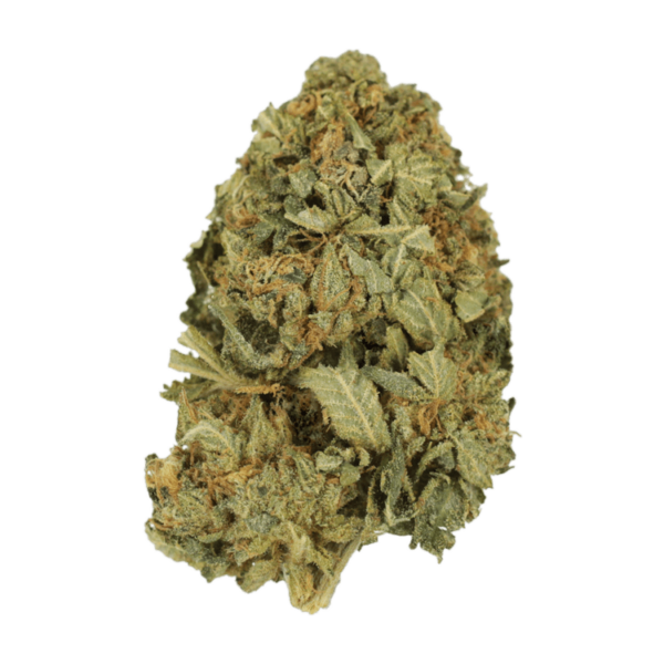 G13 | Budmail Canada