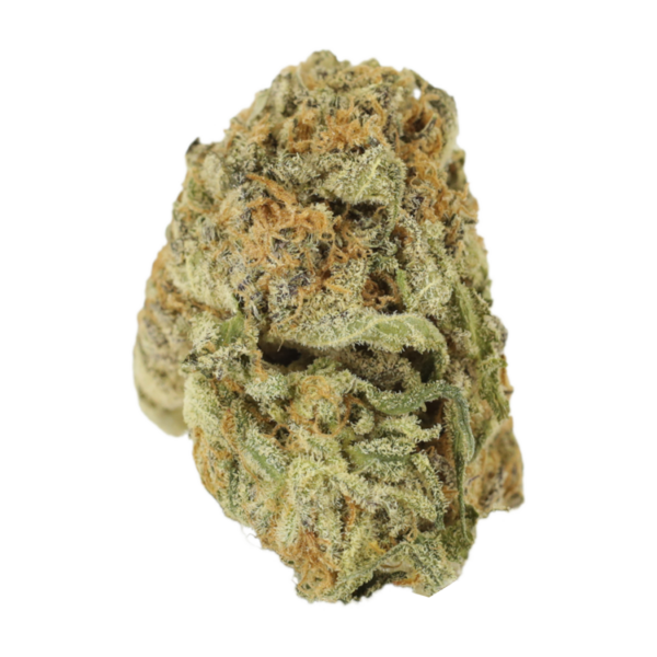 Mimosa Punch | Budmail Canada