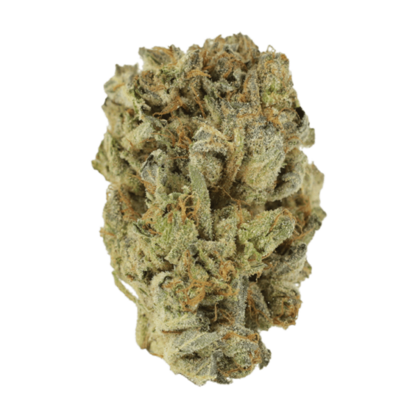 Mimosa Punch | Budmail Canada