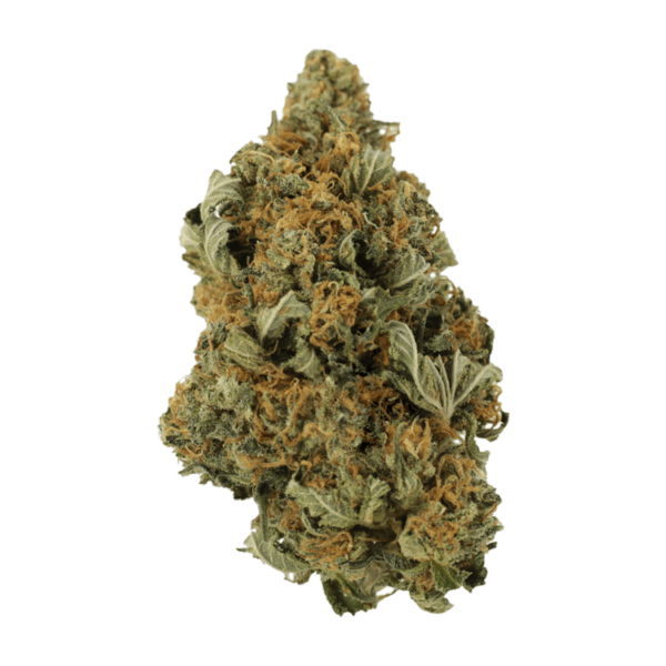 God’s Bubba | Budmail Canada