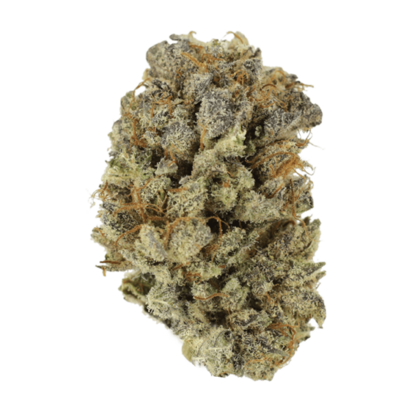 Mimosa Punch | Budmail Canada