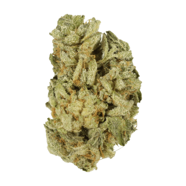 Mimosa Punch | Budmail Canada