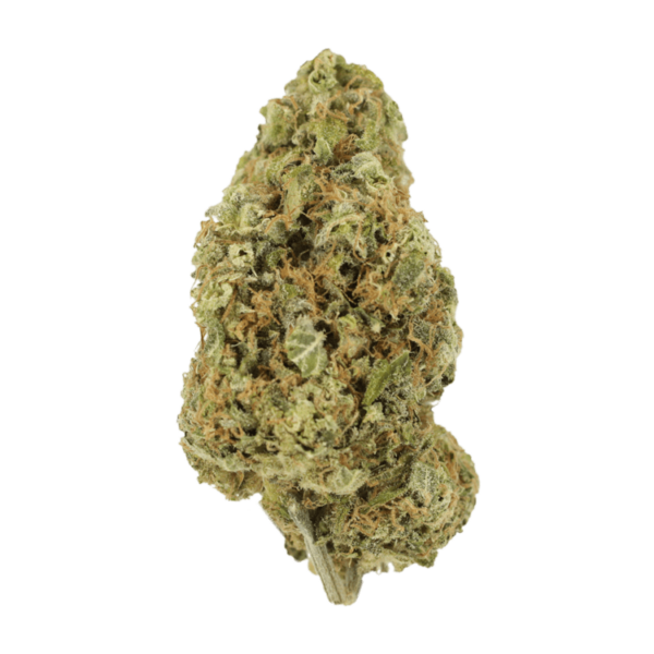 Sour Jack | Budmail Canada