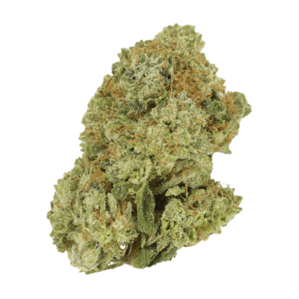 Green Lantern | Budmail Canada