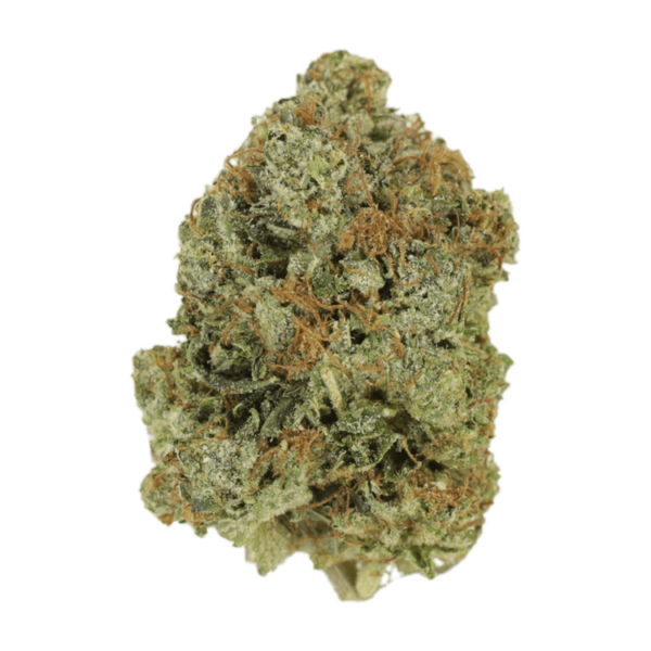 Watermelon Gelato | Budmail Canada