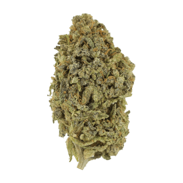 Watermelon Gelato | Budmail Canada