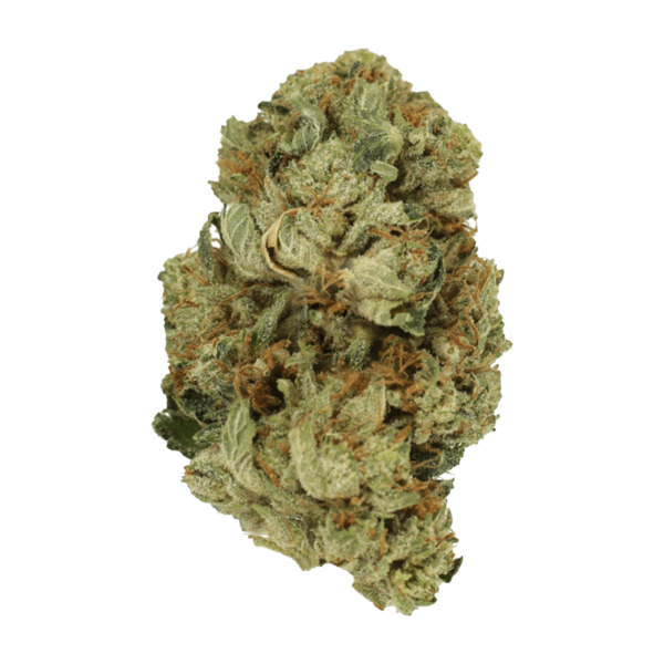 Pink Starburst | Budmail Canada