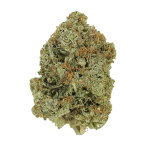 Jack Herer (popcorn) | Budmail Canada