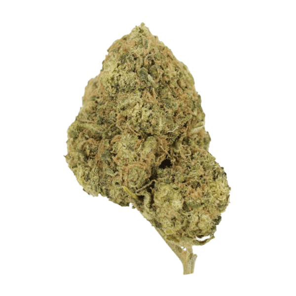 Laughing Buddha | Budmail Canada