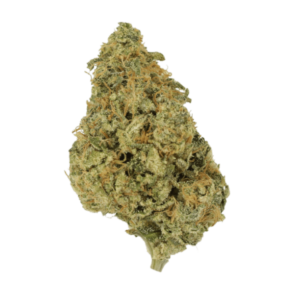 OG Lemon Haze | Budmail Canada