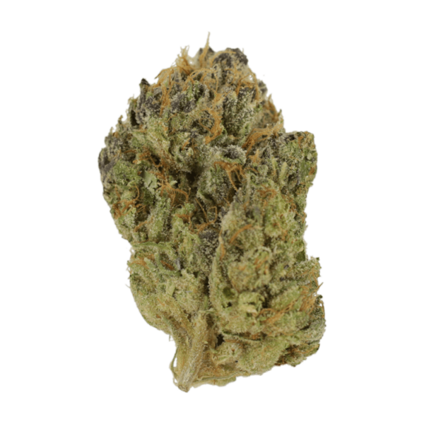 Blueberry Muffin | Budmail Canada