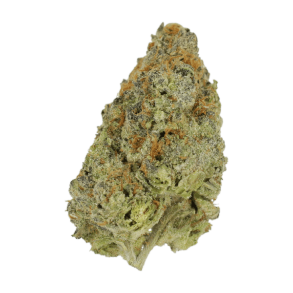 Lilac Diesel | Budmail Canada