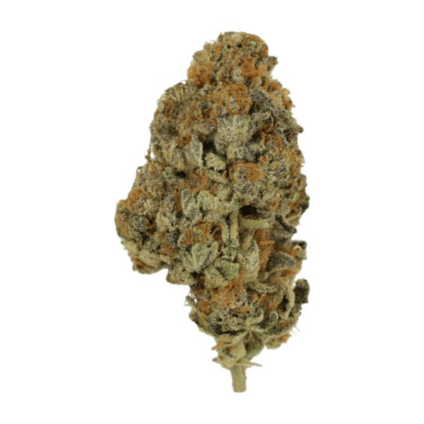 Key Lime Pie | Budmail Canada