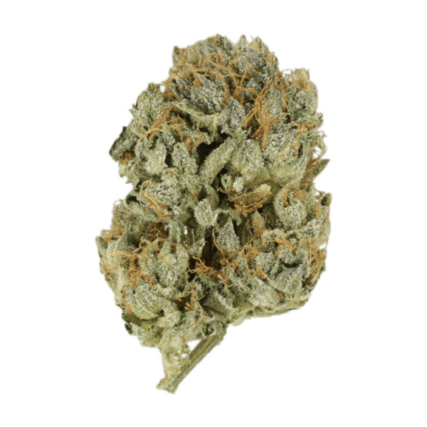 Kashmir Kush | Budmail Canada