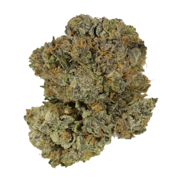 Chocolate Mint | Budmail Canada