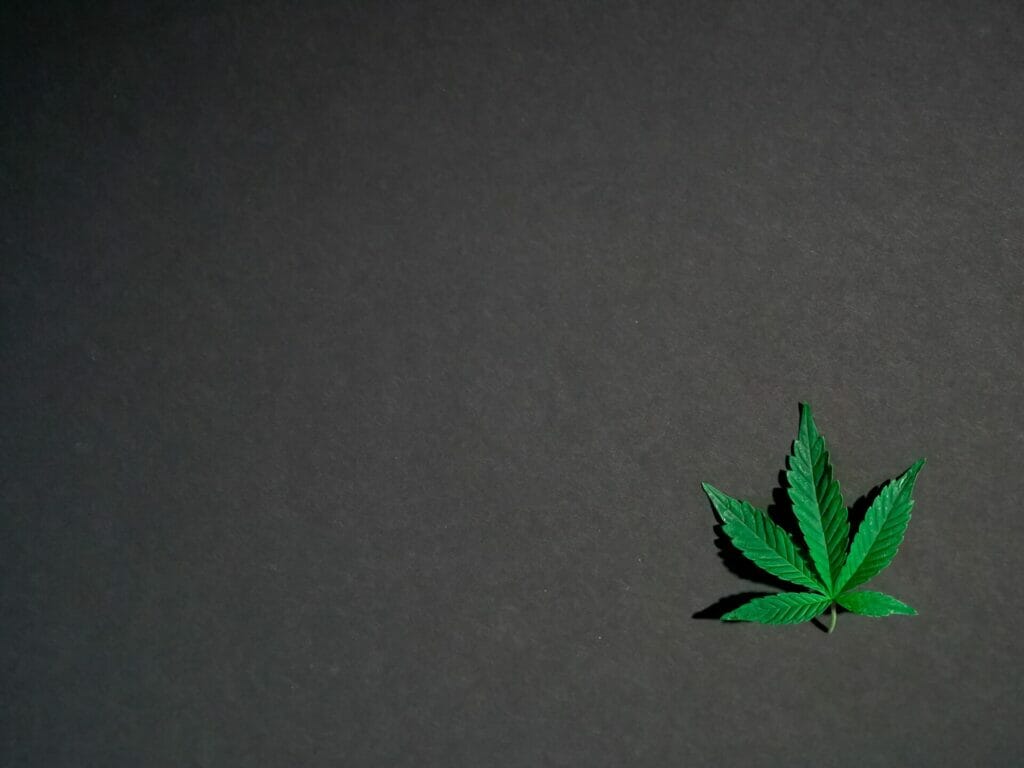 Hybrid - weed | Budmail Canada