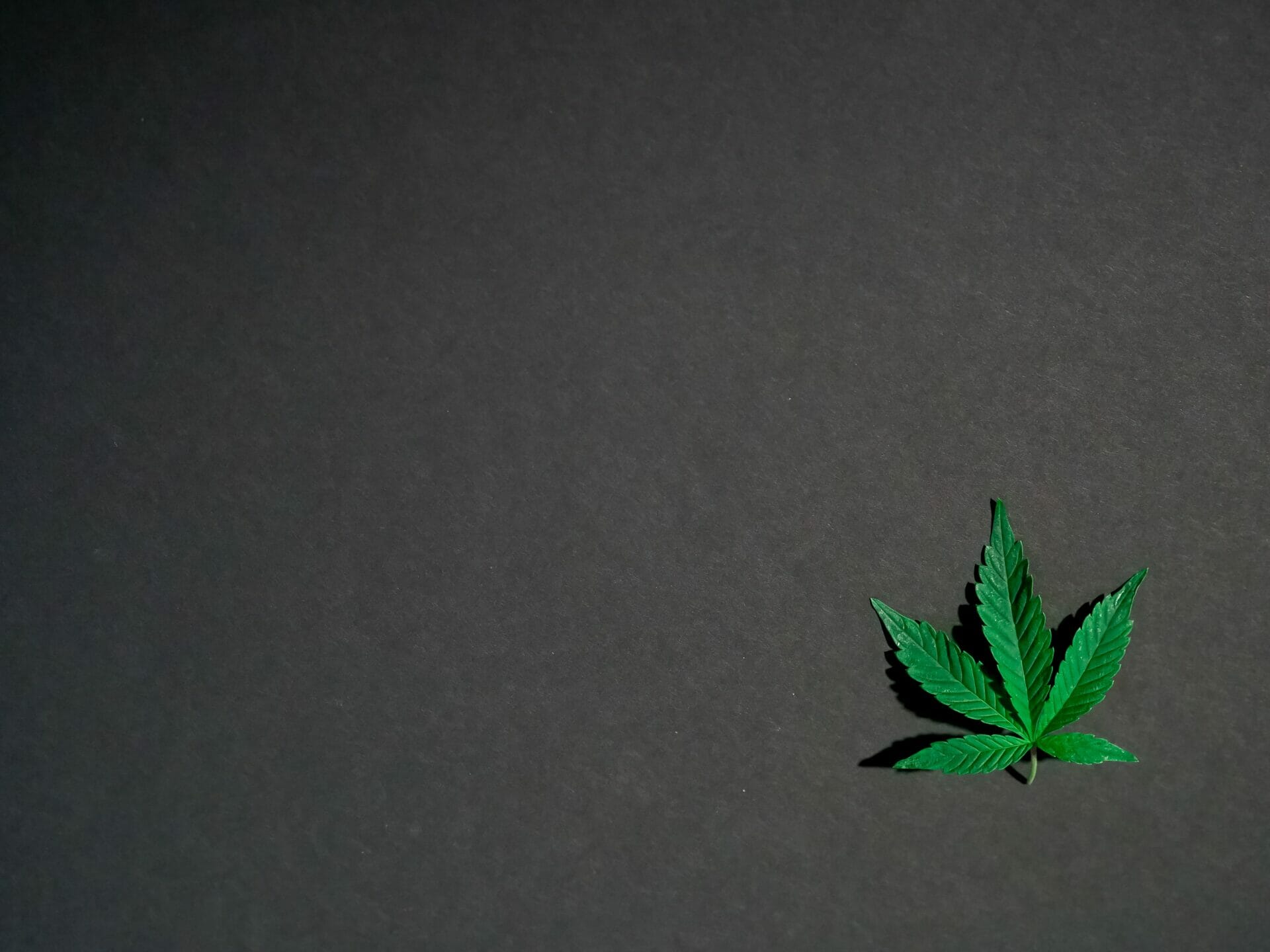 Hybrid - weed | Budmail Canada
