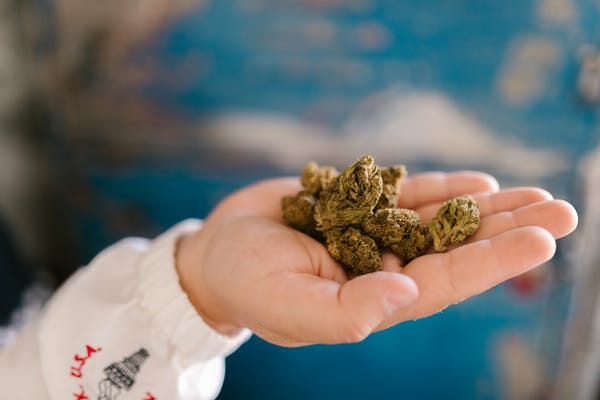 Buy cannabis Online Nunavut | Budmail Canada | Budmail Canada