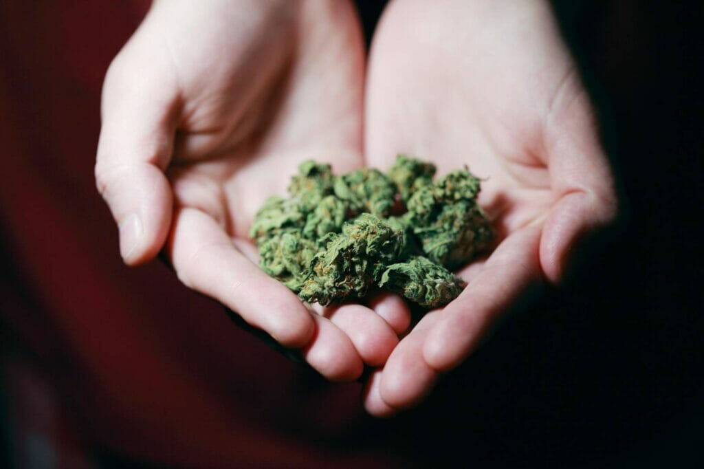Best dispensary in canada | Budmail Canada