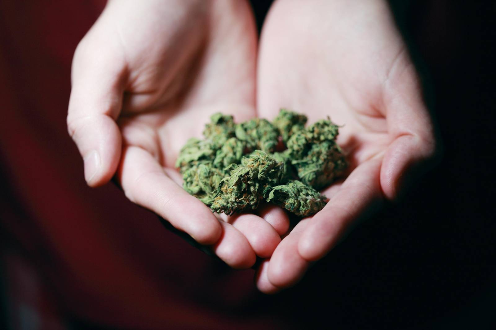 Best dispensary in canada | Budmail Canada