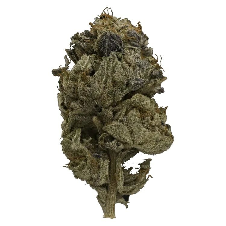 Enjoy the Heavy Indica Effects of Pink Gas Mask Strain | Budmail Canada | Budmail Canada