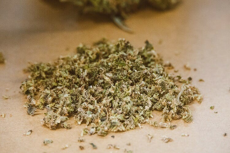Budmail Canada Canada | Budmail Canada