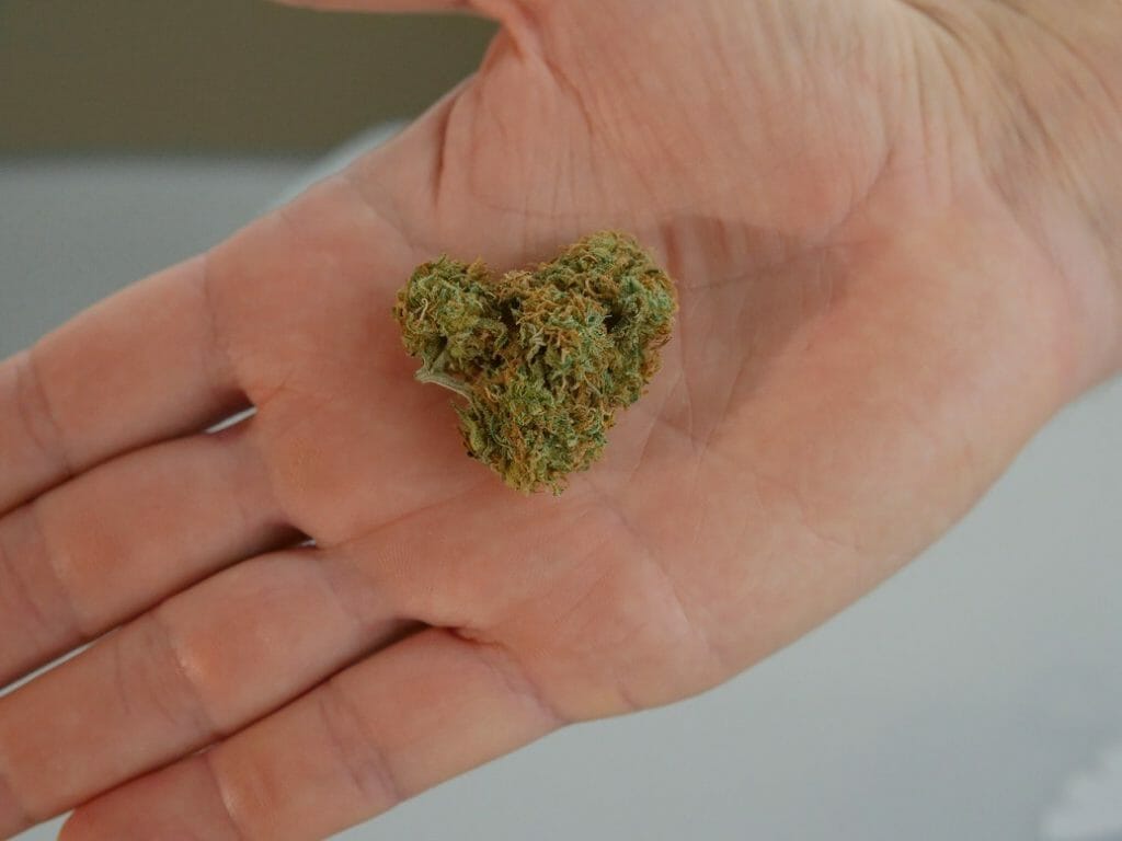 cannabis marijuana Canada | Budmail Canada