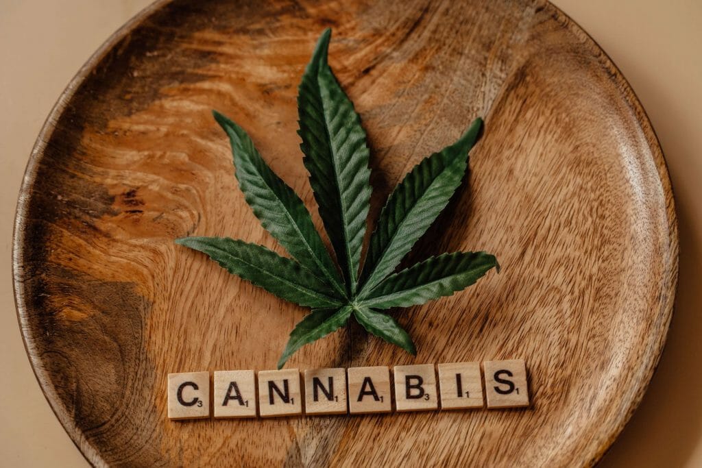 Beyond the Bud: The Role of a cannabis Dispensary in Promoting Wellness | Budmail Canada | Budmail Canada