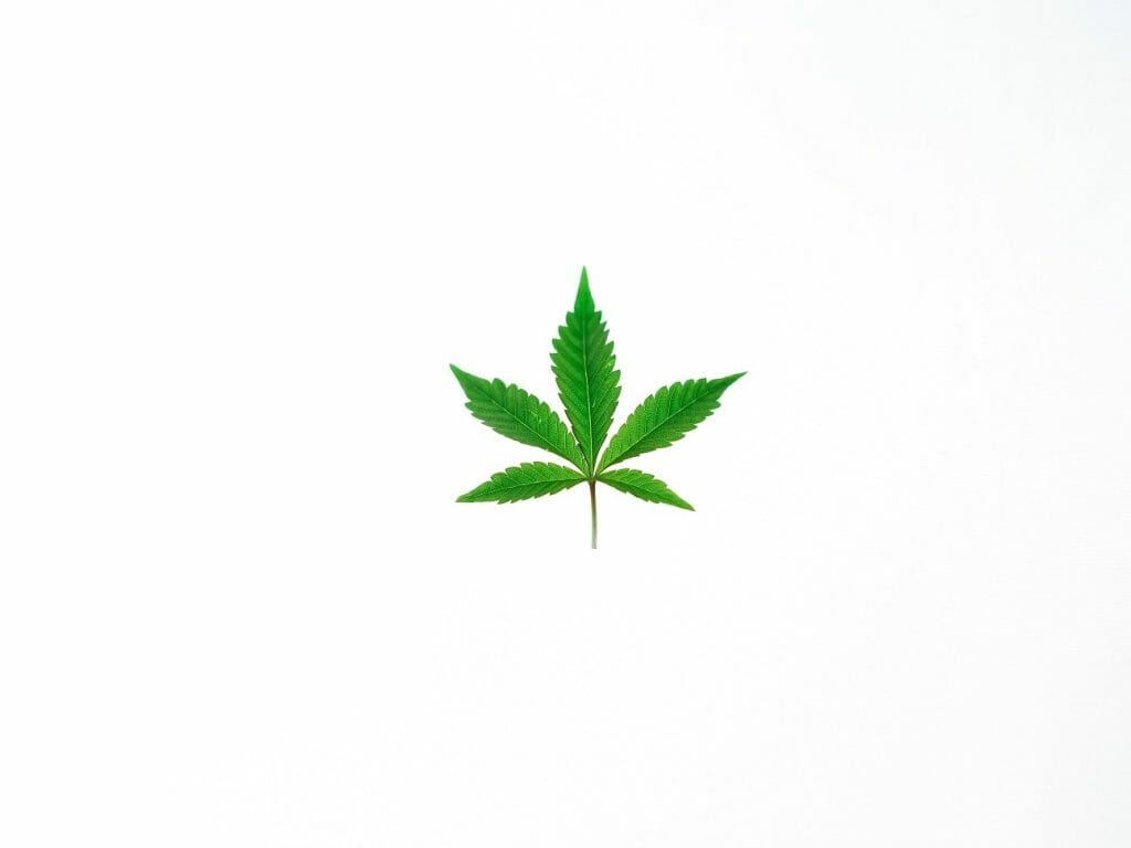 Benefits of Shopping in a BC cannabis Online Dispensary | Budmail Canada