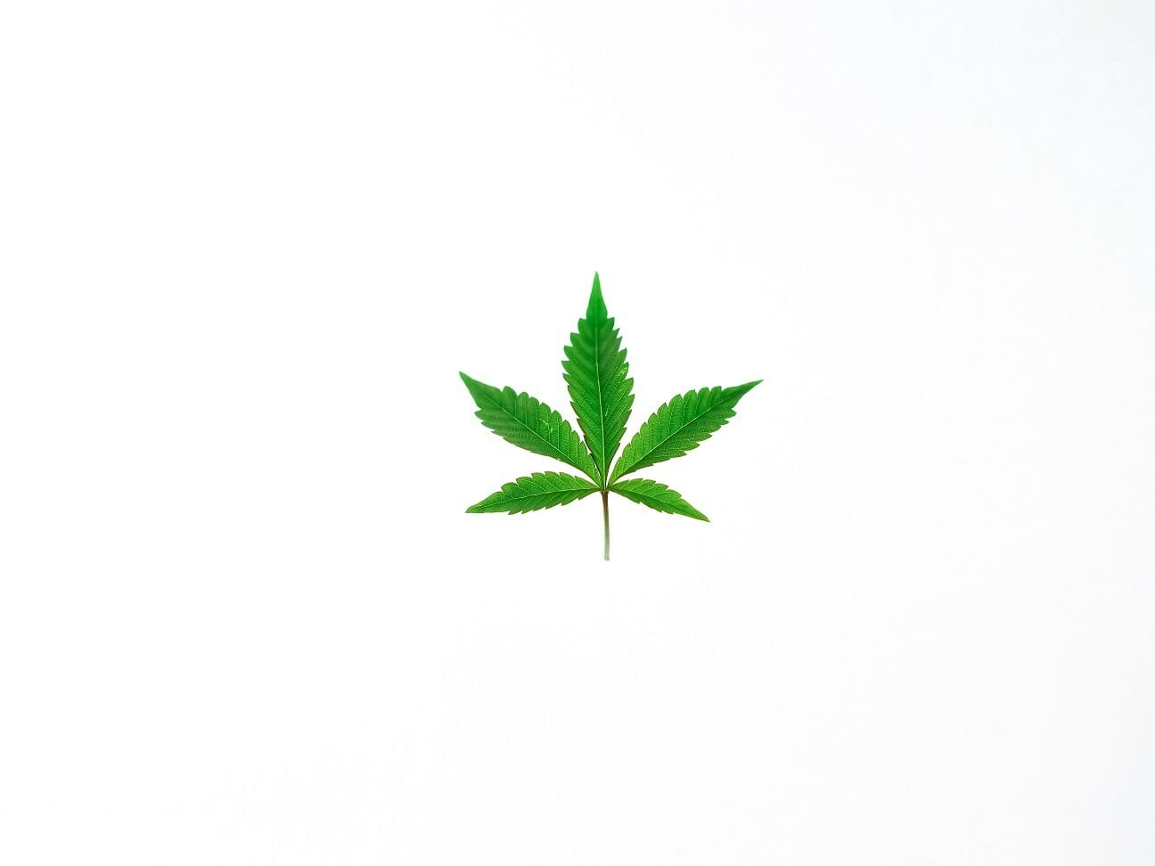 Benefits of Shopping in a BC cannabis Online Dispensary | Budmail Canada