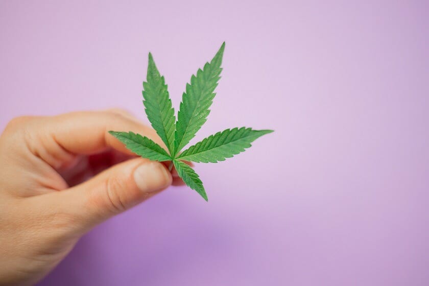 Budmail Canada: Your One-Stop Shop for Premium cannabis Products | Budmail Canada