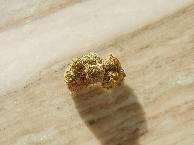 Grasslife cannabis Strains in Canada | Budmail Canada