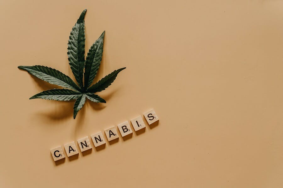 Cannabis weed | Budmail Canada