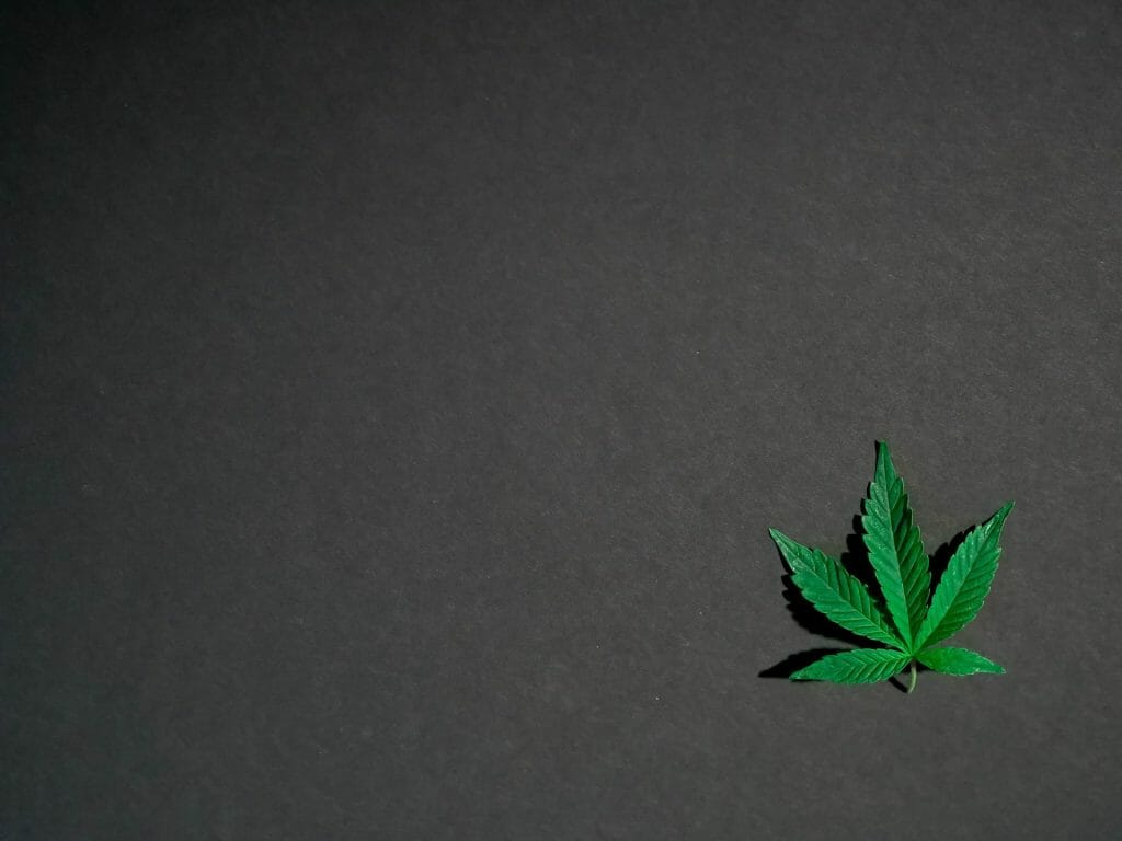 Hybrid Weed | Budmail Canada