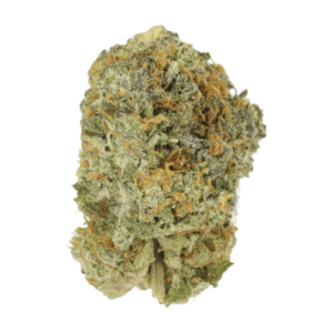 Slurricane | Budmail Canada