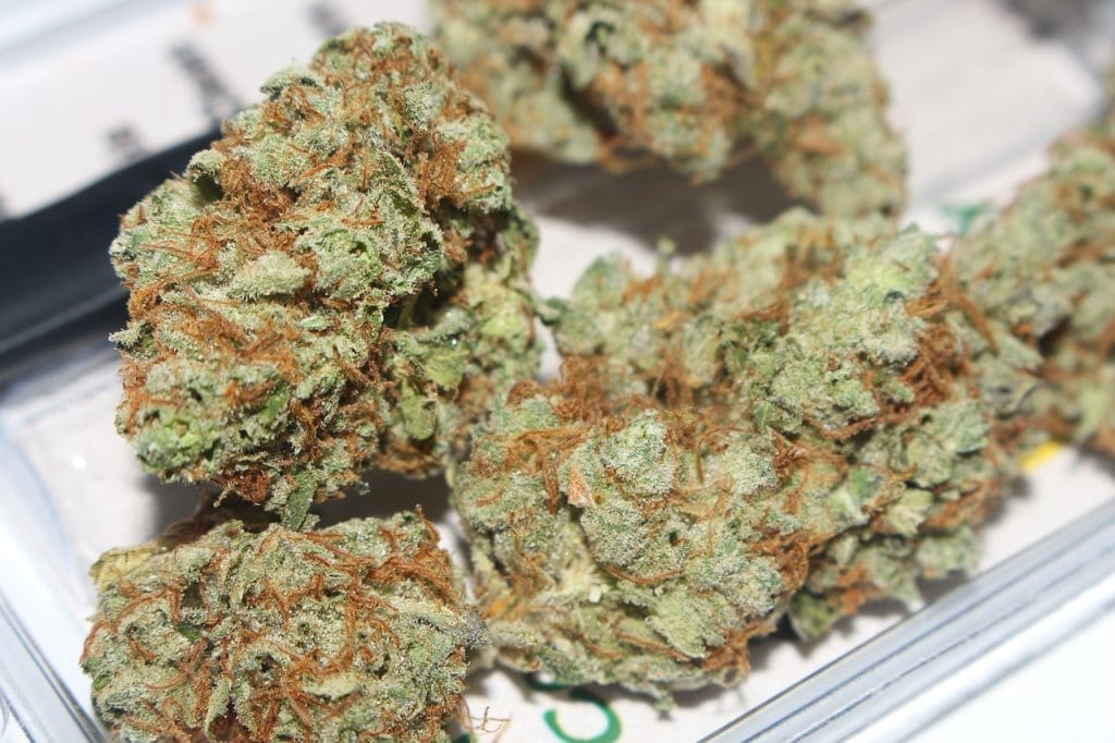 Hybrid cannabis Strains | Budmail Canada