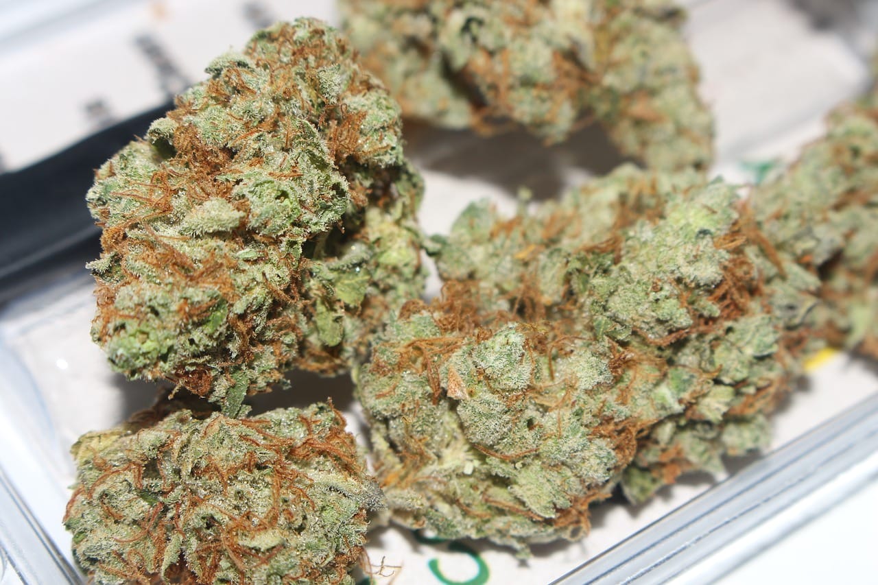 | Budmail Canada Hybrid cannabis Strains | Budmail Canada