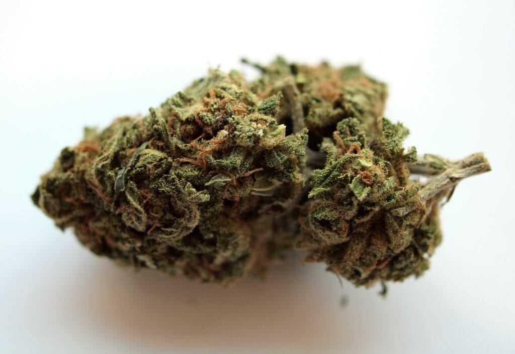 Buy cannabis online | Budmail Canada