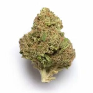 Supersonic | Budmail Canada